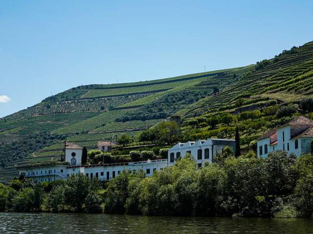 Douro — Full Day (14 hours) — 2