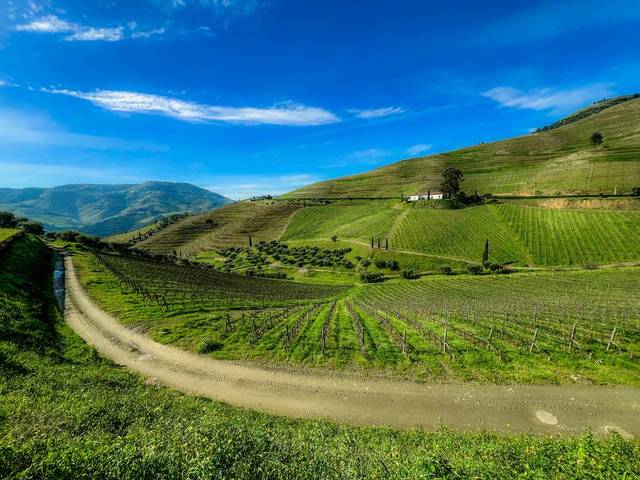 Douro — Full Day (14 hours) — 3