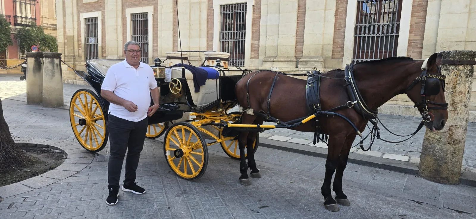 Seville | Full-Day Tour — 3