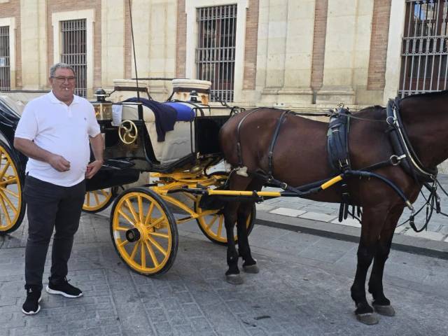 Seville | Full-Day Tour — 3