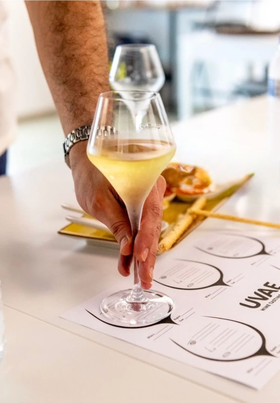 Cata de vinos — 2