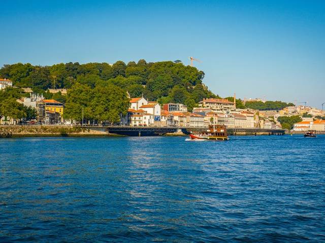 Douro — hele dag (11.00 uur) — 2