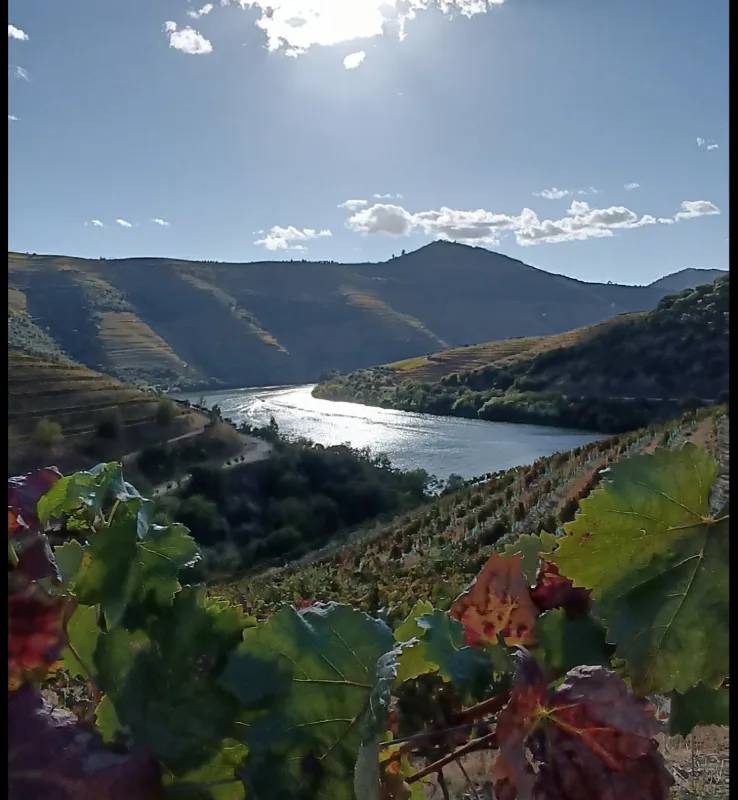 Private Douro Tour