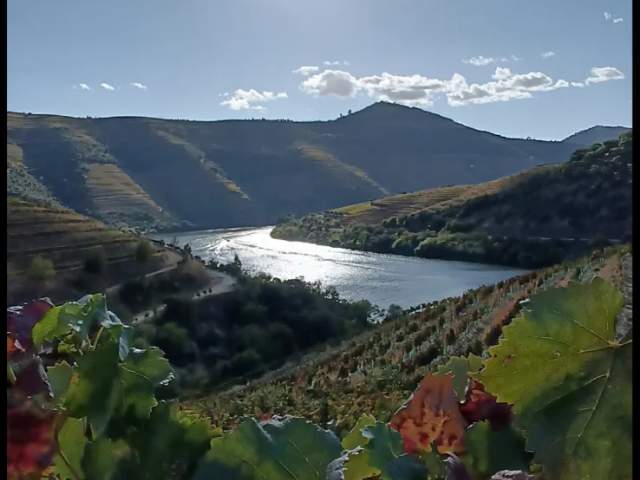 Private Douro Tour