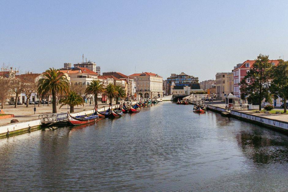 Excursion privée à Aveiro et Fátima : moliceiros, sanctuaire et saveurs traditionnelles