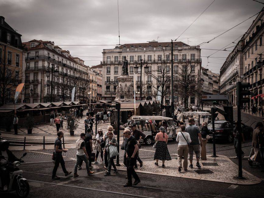 Traslado privado de Comporta a Lisboa | Comodidad y servicio único