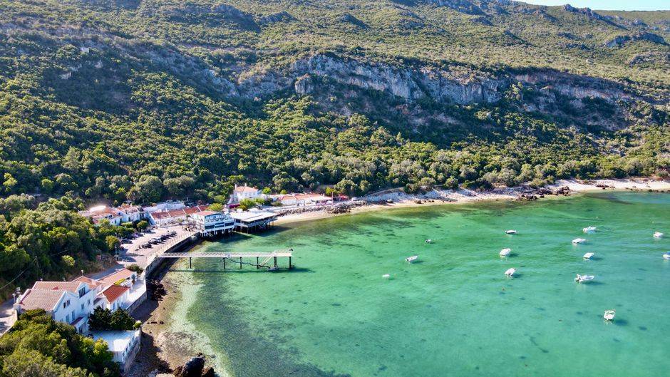 Visite privée : dégustation de vins, plages, serra da Arrábida et Sesimbra