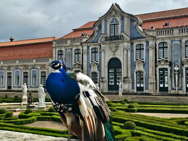 PRIVATE Unforgettable tour to Sintra