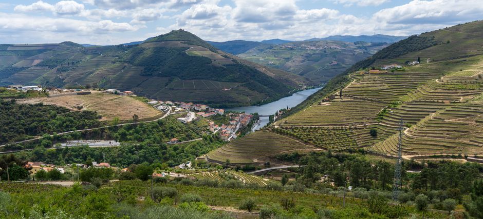 Douro Valley  — 2