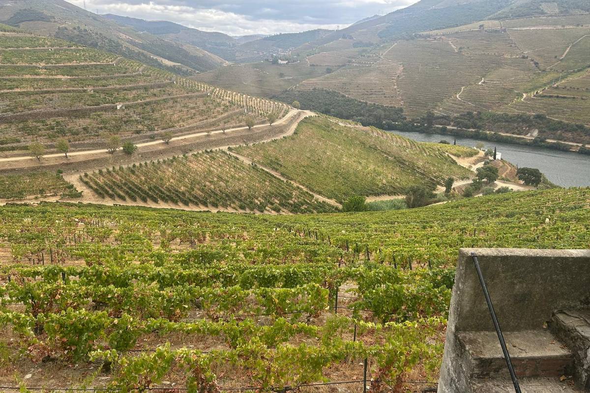 Douro Valley
