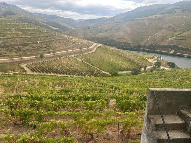 Douro Valley