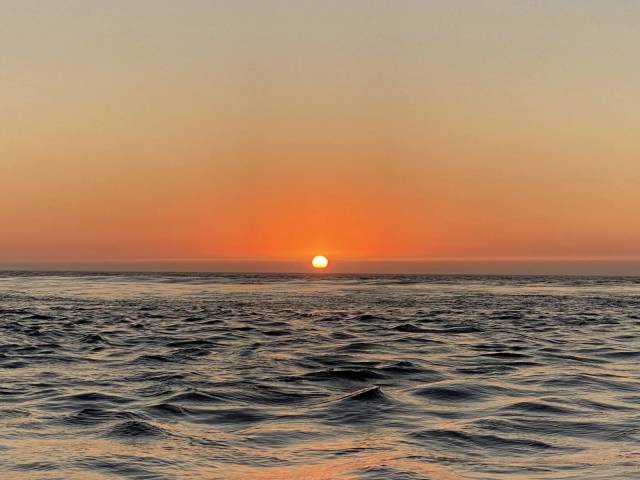 Porto: Sunset in Sailboat, Port Tonic & Secret Toast — 3